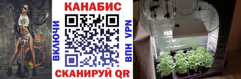Канабис THC 21%  Макаров 